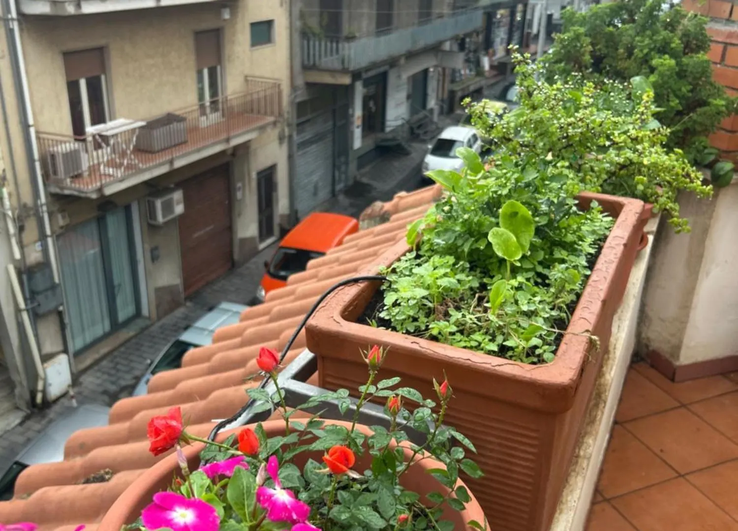 Casa Maretna Apartment Aci Castello Italy